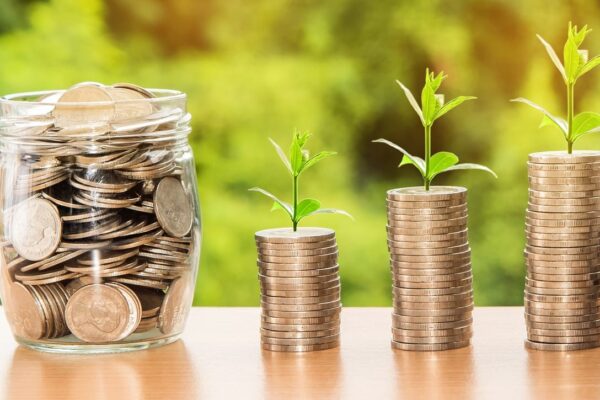 How Do You Build Wealth with Long-Term Growth Investments?